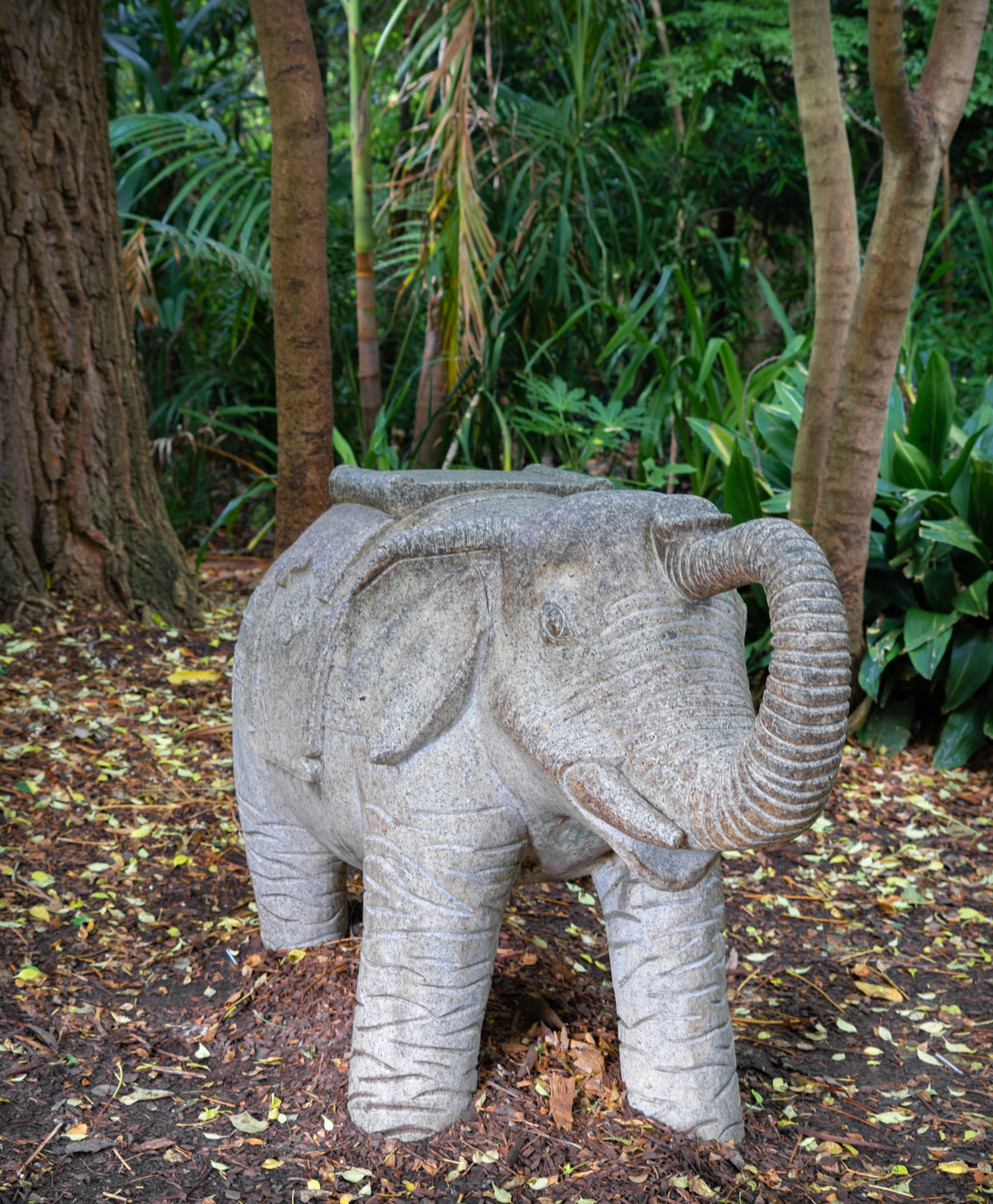 Parkville, Victoria - Australia 'Melbourne Zoo - Day 2' Photographed by Karen Robinson December 2018 Comments - Hubby and I decided to spend another day at the Zoo, this time concentrating on photographing the elephants.