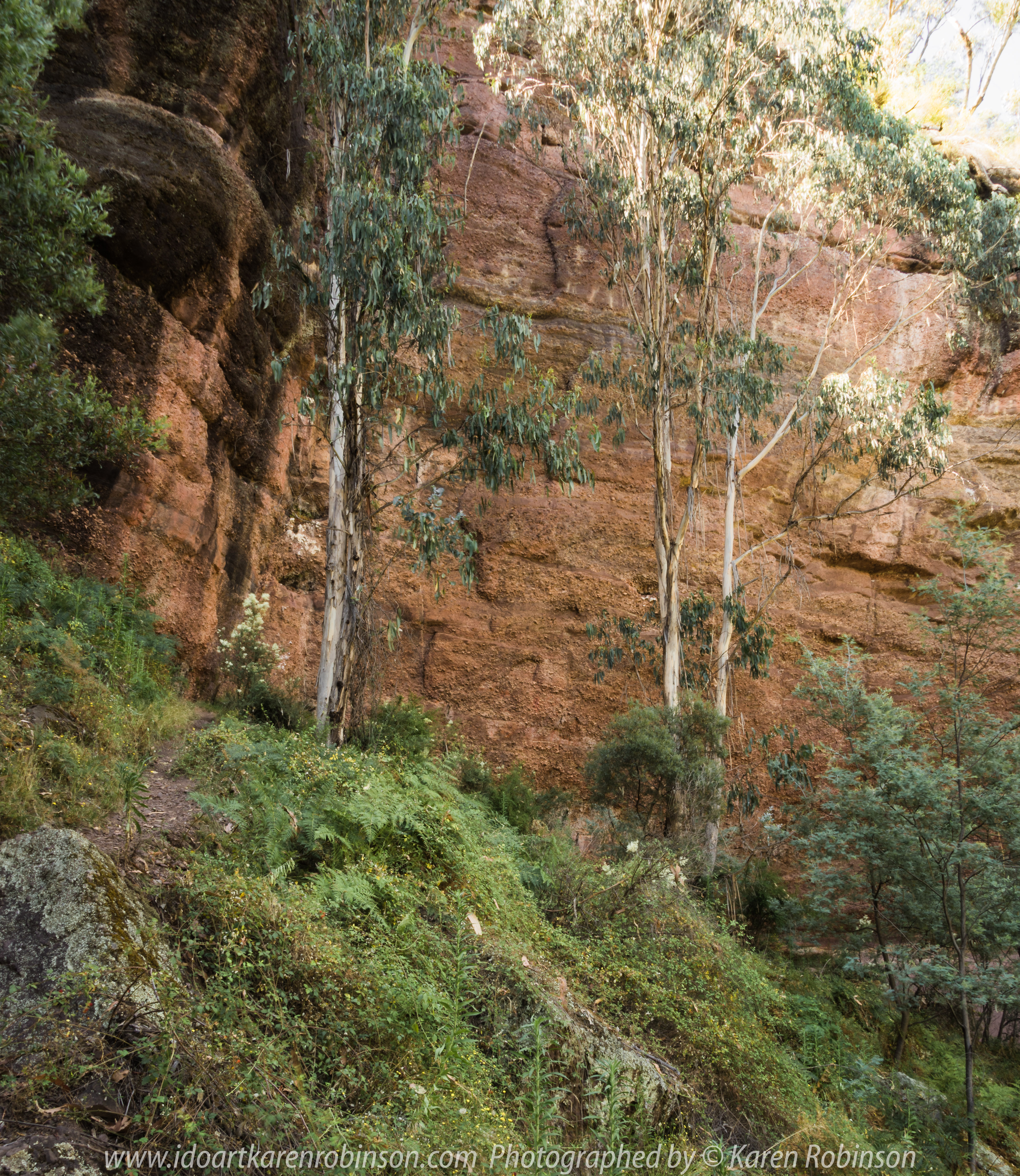 Cheshunt, Victoria - Australia 'Paradise Falls and Views of Mount Bulla' Photographs by Karen Robinson NB All images are protected by copyright laws. Comments - The walk to the falls was lengthy, especially for my hubby and I at our age, but we enjoyed the surrounding bush and views during the stroll. Upon reaching the falls itself, we found there was no water running over and down the rocks which was disappointing. This would need to be revisted during winter time as it is mid-summer time hence the lack of water.