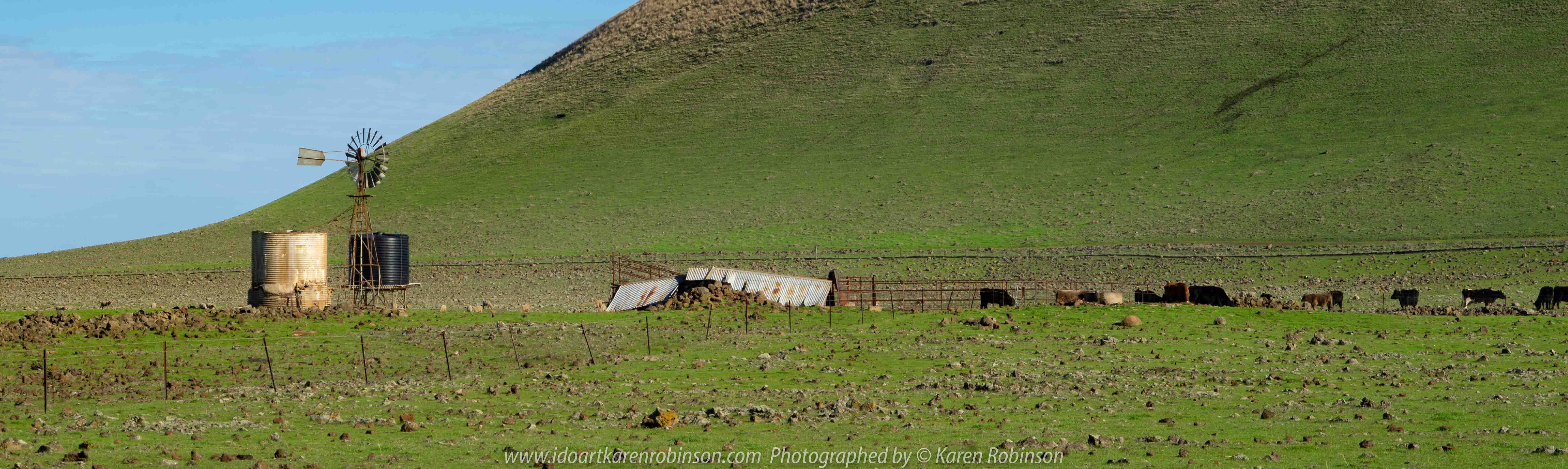 Victoria - Australia 'Mount Elephant - Volcanic Hinterland' Photographed by Karen Robinson June 2019 Comments - Amazing views around the base of Mount Elephant and views from walking tracks on the side and top of Mount Elephant itself.