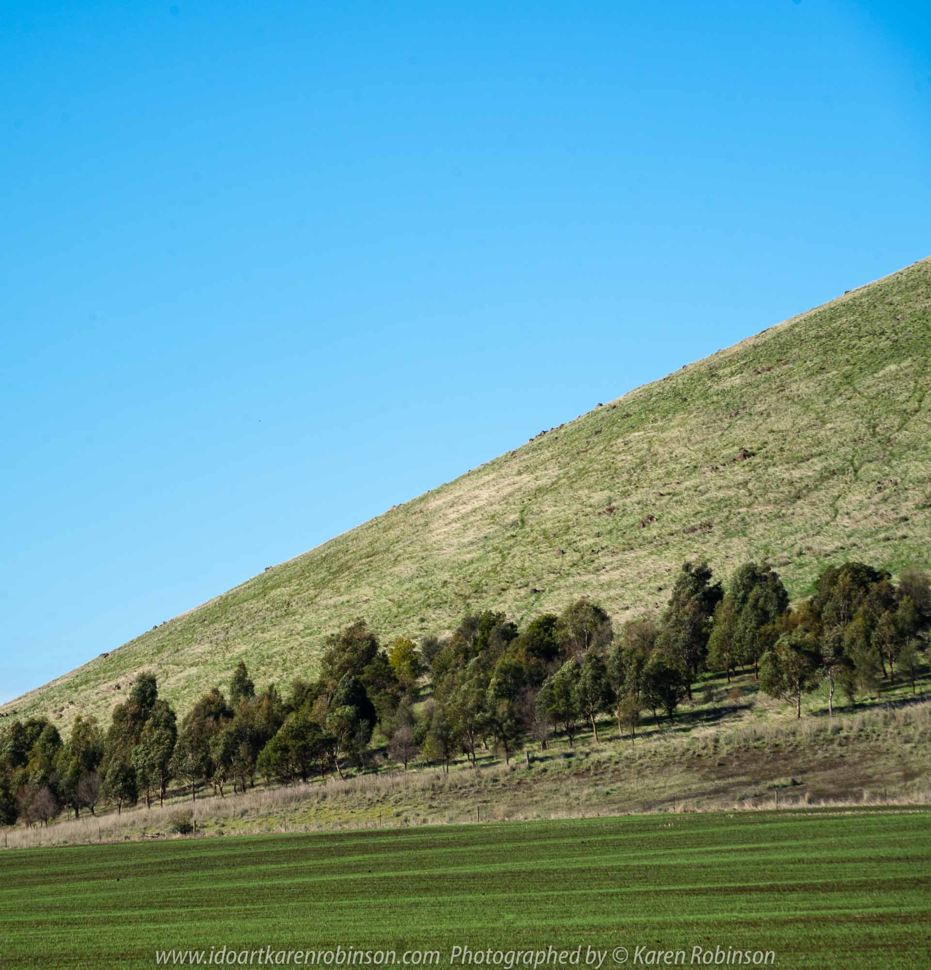 Victoria - Australia 'Mount Elephant - Volcanic Hinterland' Photographed by Karen Robinson June 2019 Comments - Amazing views around the base of Mount Elephant and views from walking tracks on the side and top of Mount Elephant itself.