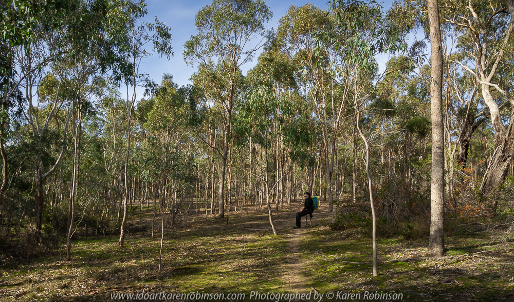 Greenvale, Victoria - Australia 'Woodlands Historic Park' Photographed by Karen Robinson June 2018 NB. All images are protected by copyright laws. Comments - A beautiful day at this historic park which is located just a short distance from home. With other members of the Craigieburn Camera Club, we engaged in a 'free format photograph shot' where we wandered around this nature preserve taking photographs that were of interest to the individual photographer.