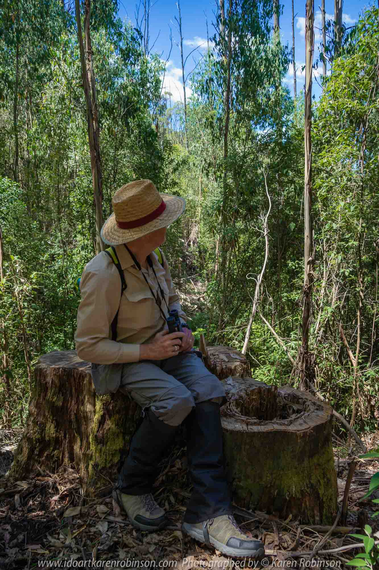 Kinglake, Victoria - Australia 'Jehosaphat Gully Walking Track in Kinglake National Park' Photographed by Karen Robinson February 2019 Comments - Hubby and I visiting the newly restored track upon its reopening after it was destroyed by Victoria's Black Saturday bushfires in 2009. Photography featuring Karen Robinson's hubby.