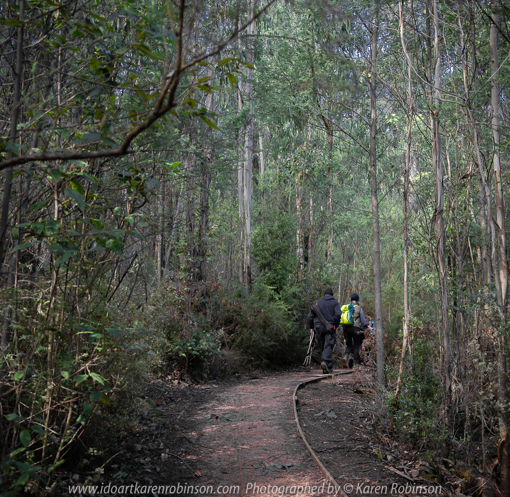 Kinglake West, Victoria - Australia 'Masons Falls' Photographed by Karen Robinson August 2018 NB. All images are copyright protected Comments - A beautiful winter's day walking around this nature reserve and enjoying the company of my daughter, granddaughter and husband!