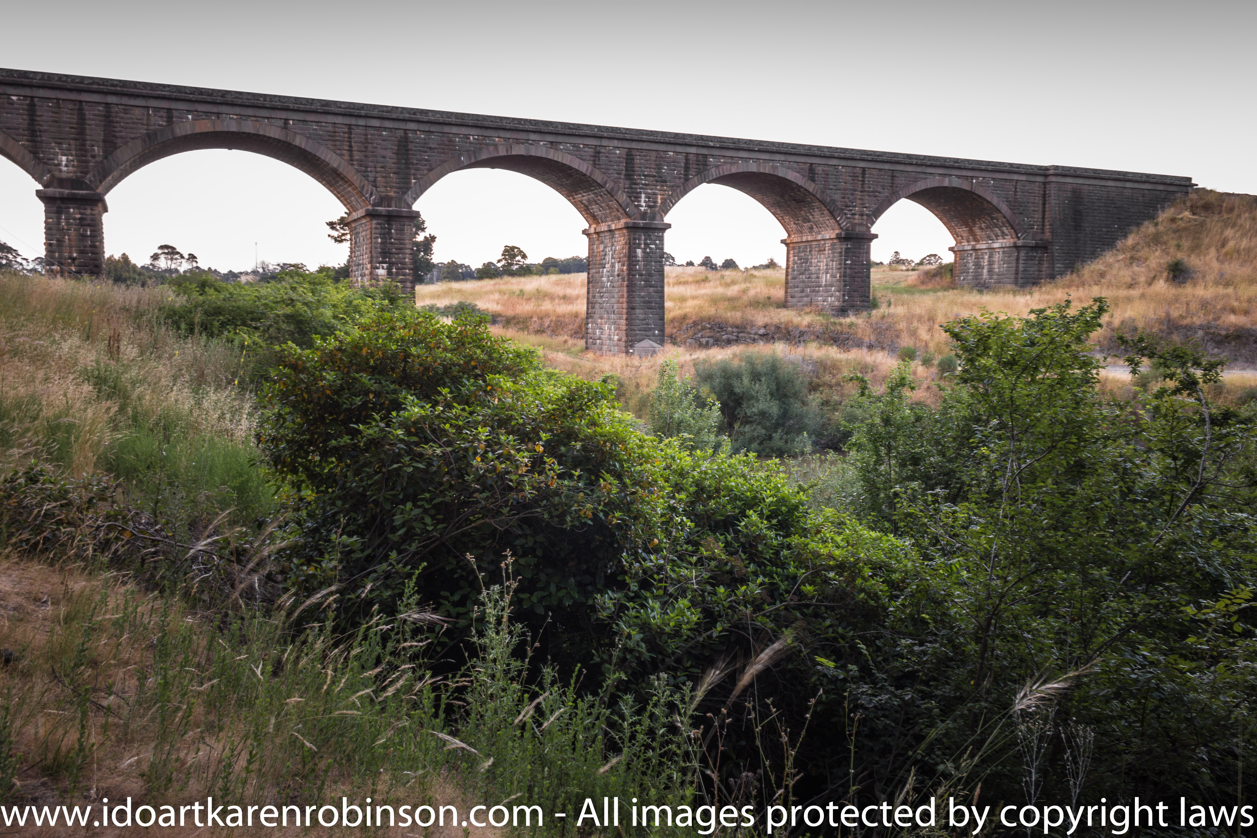 Karen took photos near the Malmsbury Viaduct viewed from the Malmsbury Botanical Gardens. Accompanied by her husband on the day. Early morning set up!