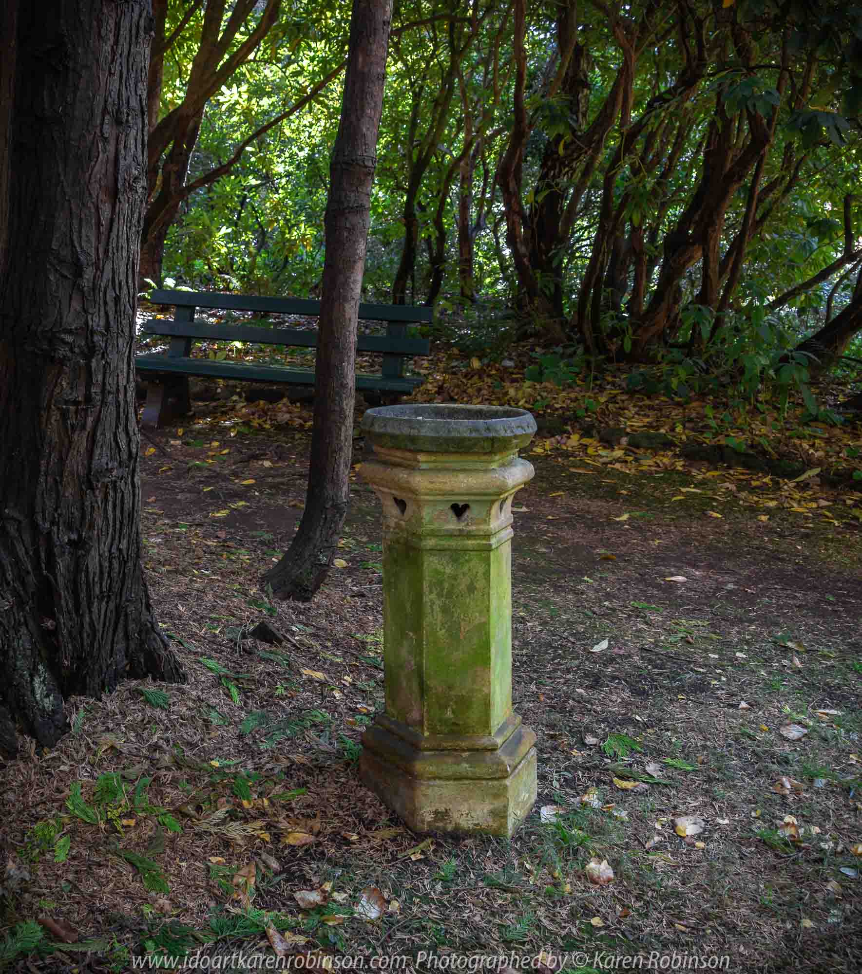 Mount Macedon, Victoria - Australia 'Forest Glade Gardens' Photographed by Karen Robinson May 2019 Comments - Autumn visit to one of Australia's most beautiful private gardens.
