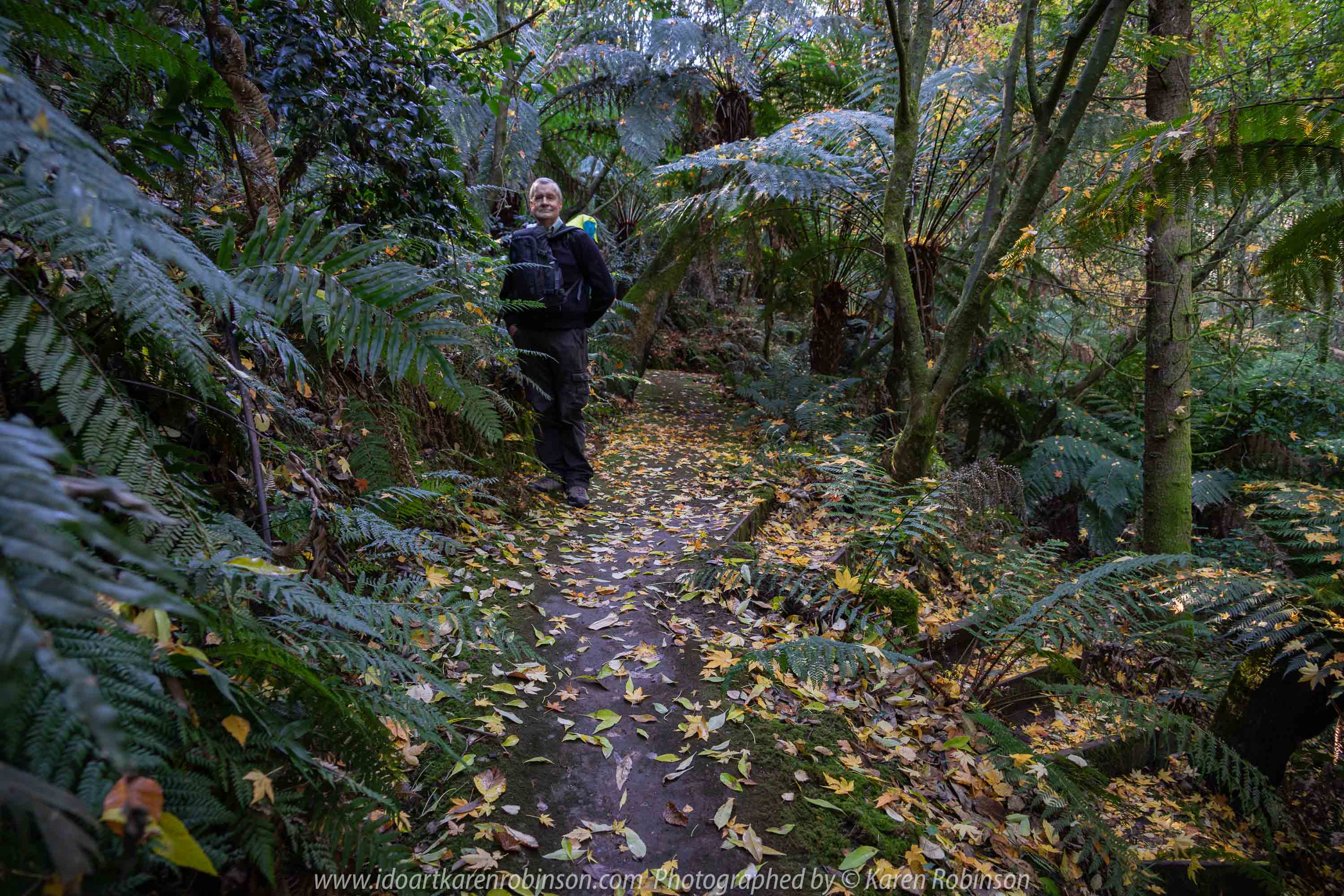 Victoria - Australia 'Forest Glade Gardens' Photographed by Karen Robinson May 2019 Comments - Autumn visit to one of Australia's most beautiful private gardens.