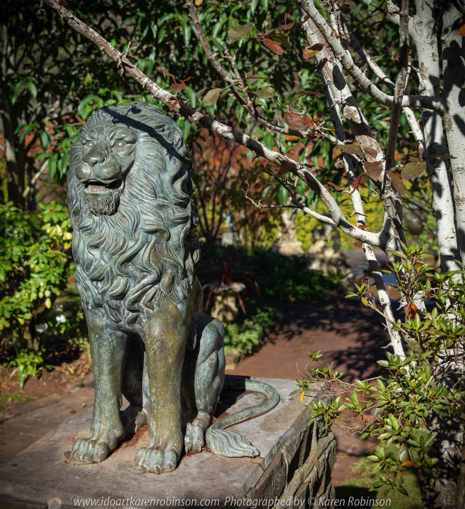 Mount Macedon, Victoria - Australia 'Forest Glade Gardens' Photographed by Karen Robinson May 2019 Comments - Autumn visit to one of Australia's most beautiful private gardens.