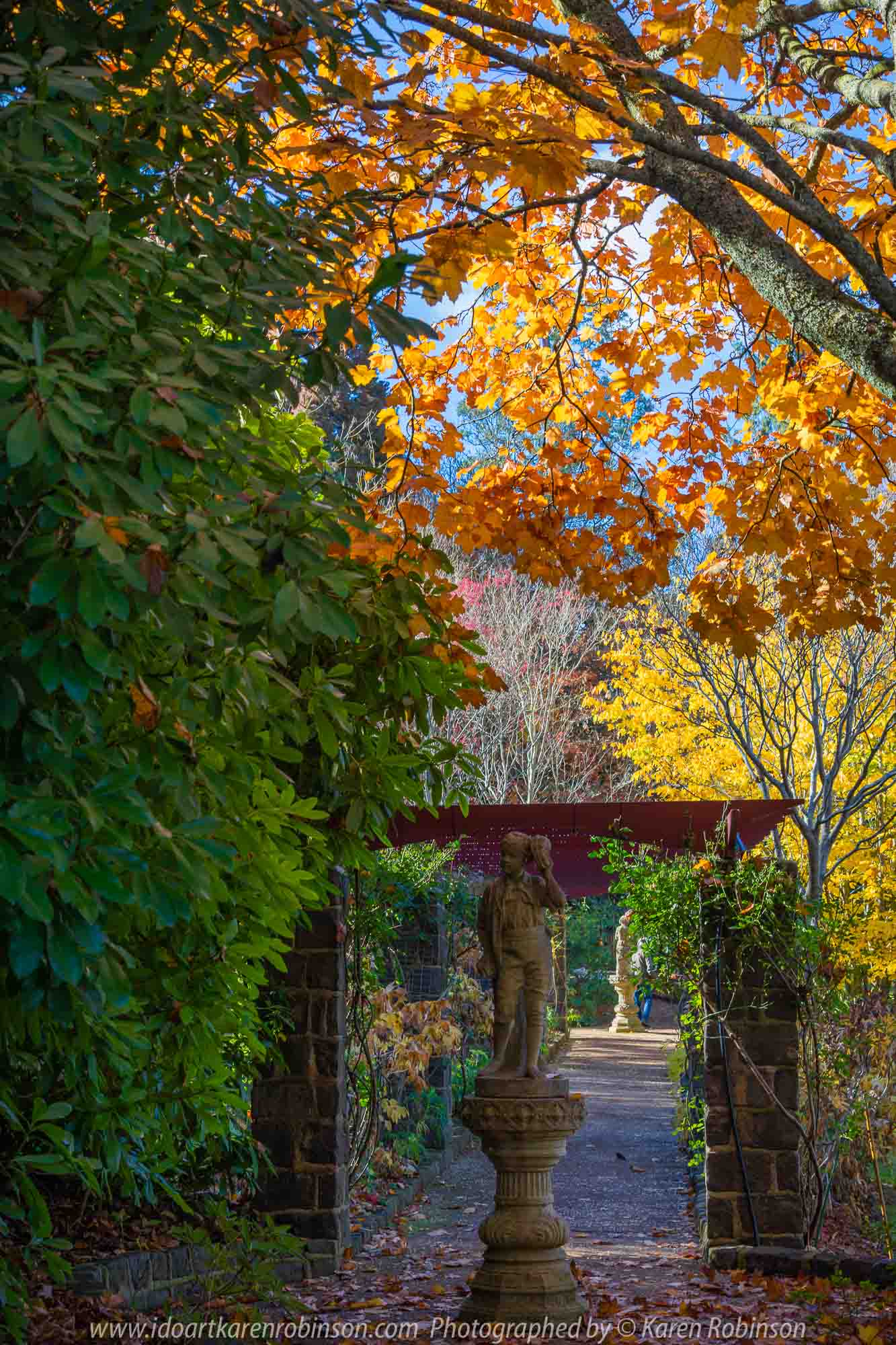 Mount Macedon, Victoria - Australia 'Forest Glade Gardens' Photographed by Karen Robinson May 2019 Comments - Autumn visit to one of Australia's most beautiful private gardens.