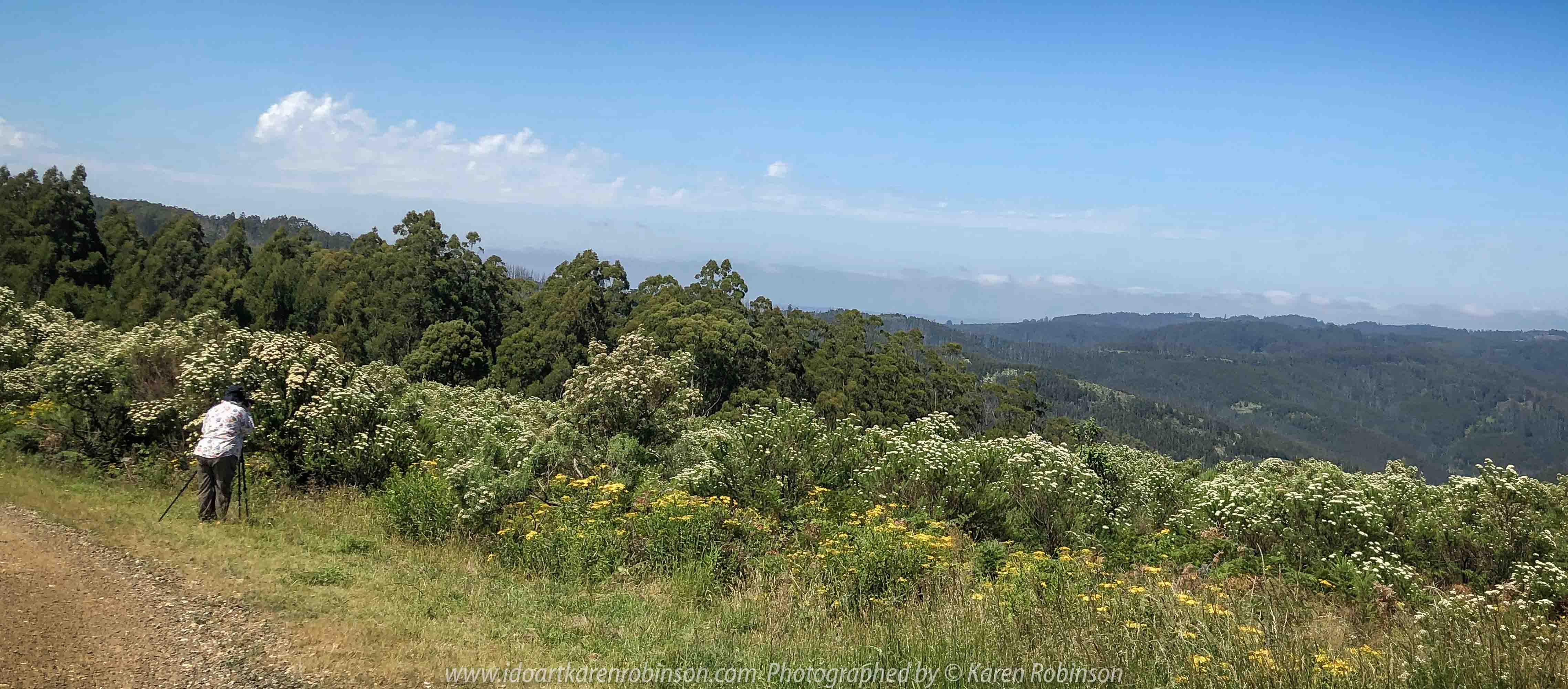 Mount Tassie, Victoria - Australia 'Panoramic Views' Photographed by Karen Robinson December 2018 Comments - Glorious expansive views. Photograph featuring Karen Robinson Photographer