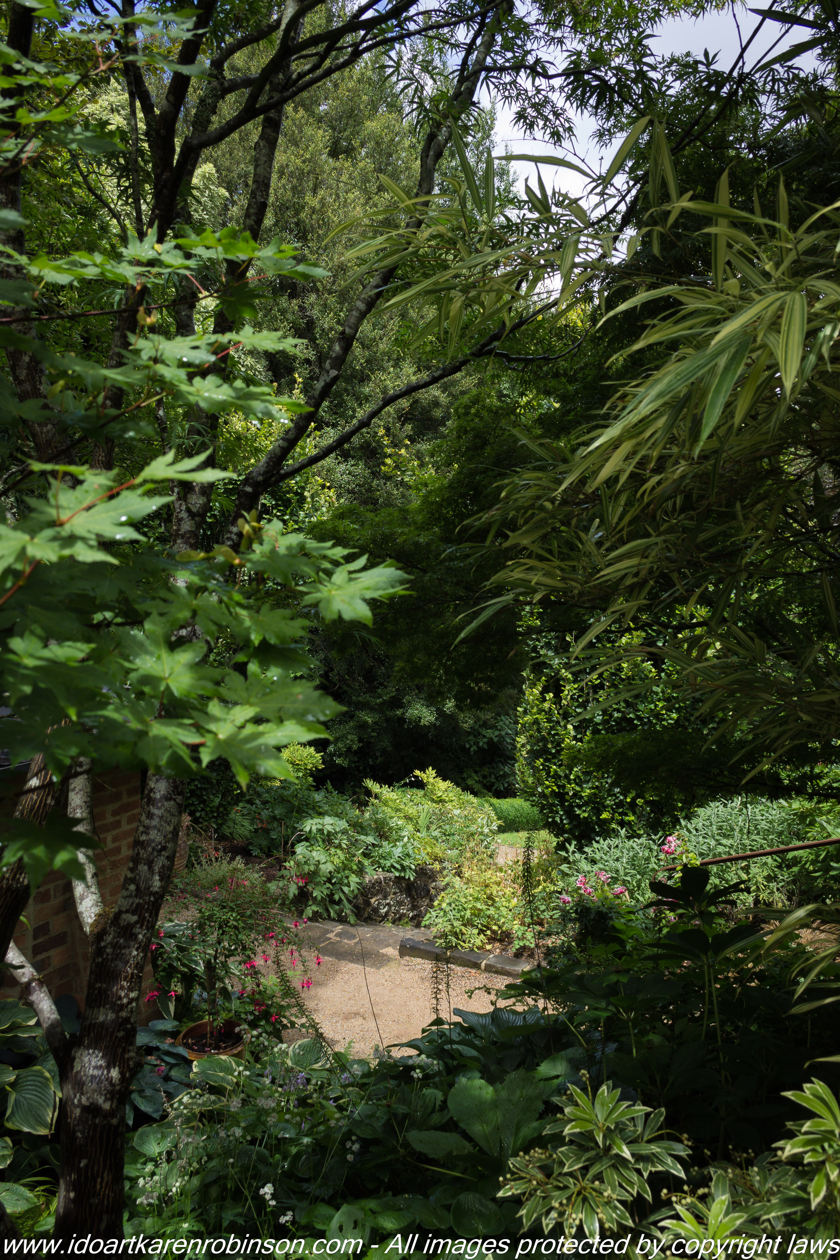 Olinda, Victoria – Australia. Cloudehill Gardens Photographed by ©Karen Robinson www.idoartkarenrobinson.com Feb 2017.