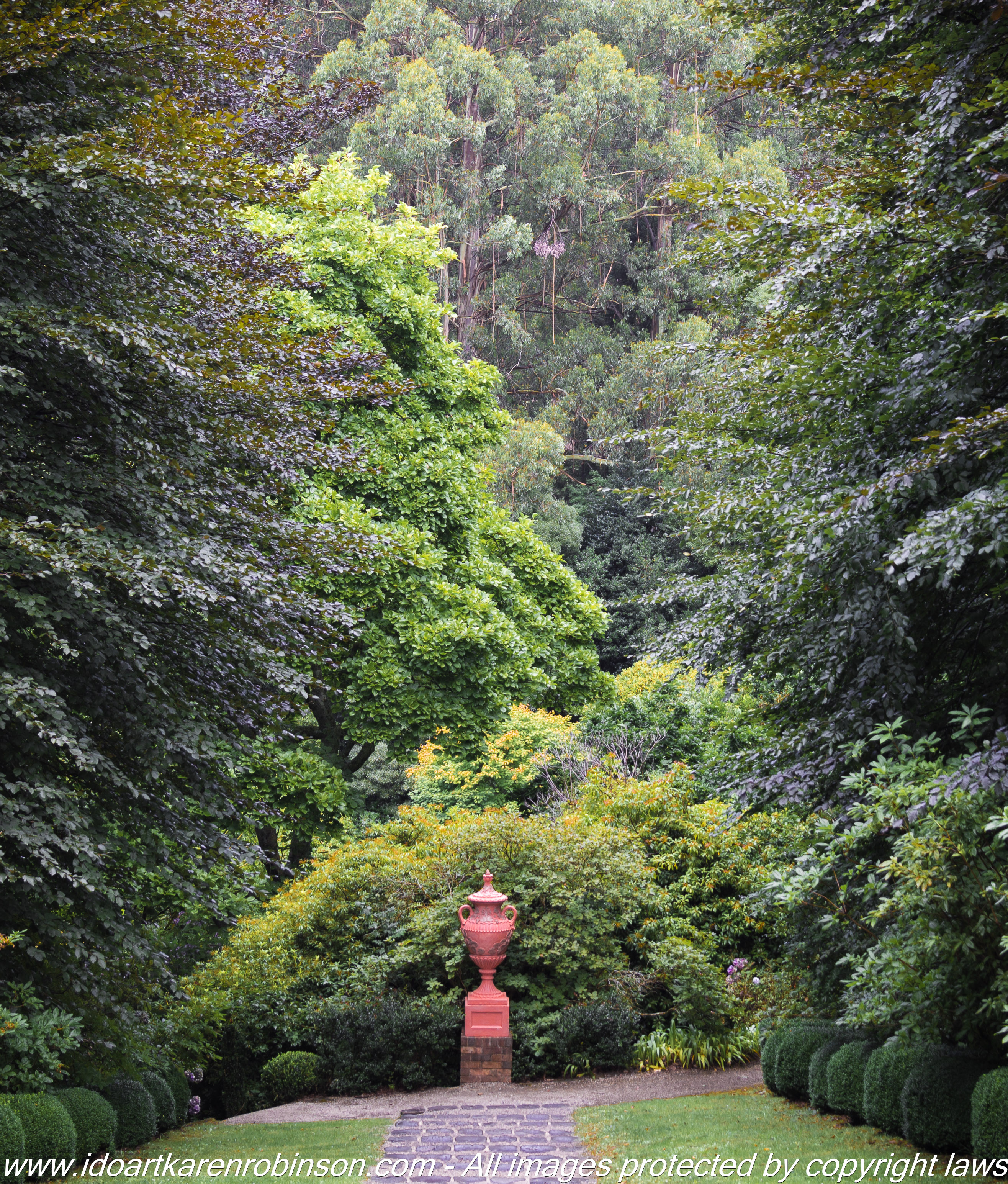 Olinda, Victoria – Australia. Cloudehill Gardens Photographed by ©Karen Robinson www.idoartkarenrobinson.com Feb 2017.