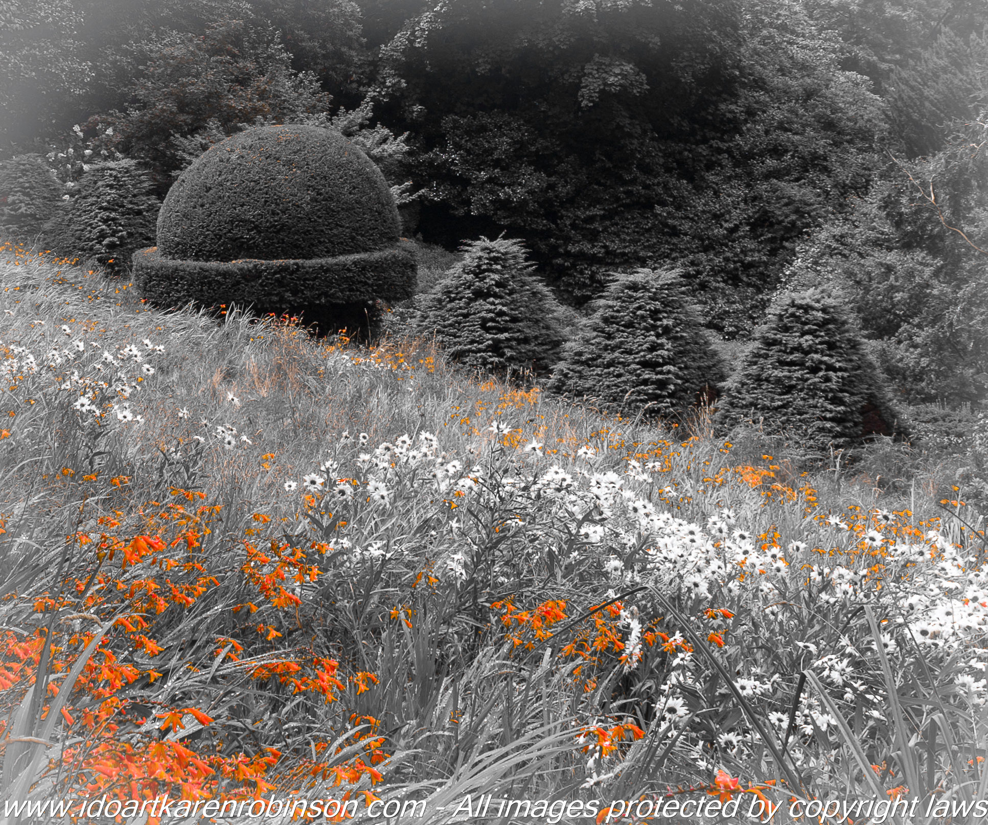 Olinda, Victoria – Australia. Cloudehill Gardens Photographed by ©Karen Robinson www.idoartkarenrobinson.com Feb 2017.