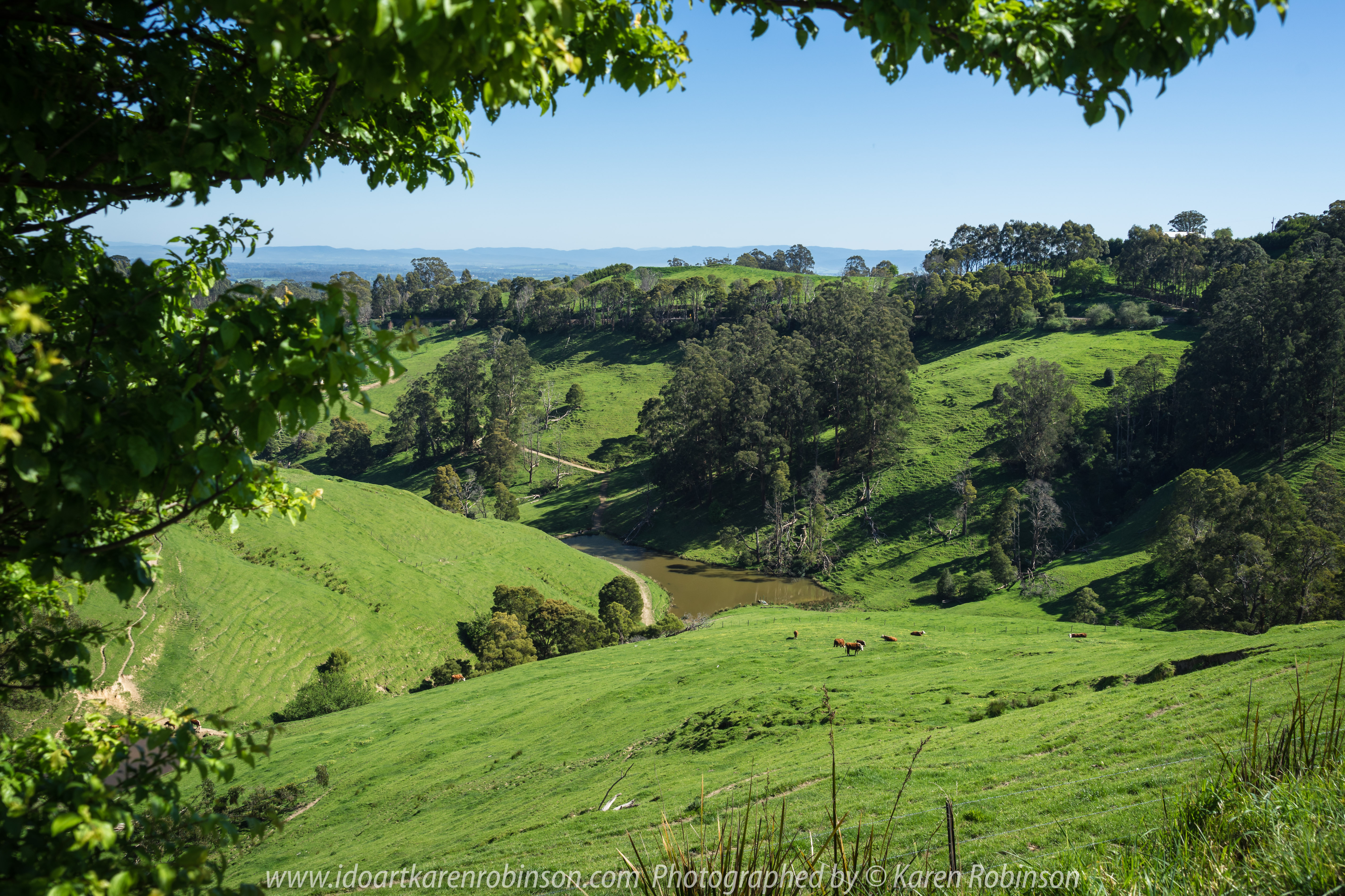 Seaview Region, Melbourne - Australia "Grand Ridge Road Region" Photographed by Karen Robinson NB Copyright Protected_ www.idoartkarenrobinson.com October 17, 2017. NB: Day trip with hubby to visit this beautiful region at its best when all is green before the summer turns it brown.