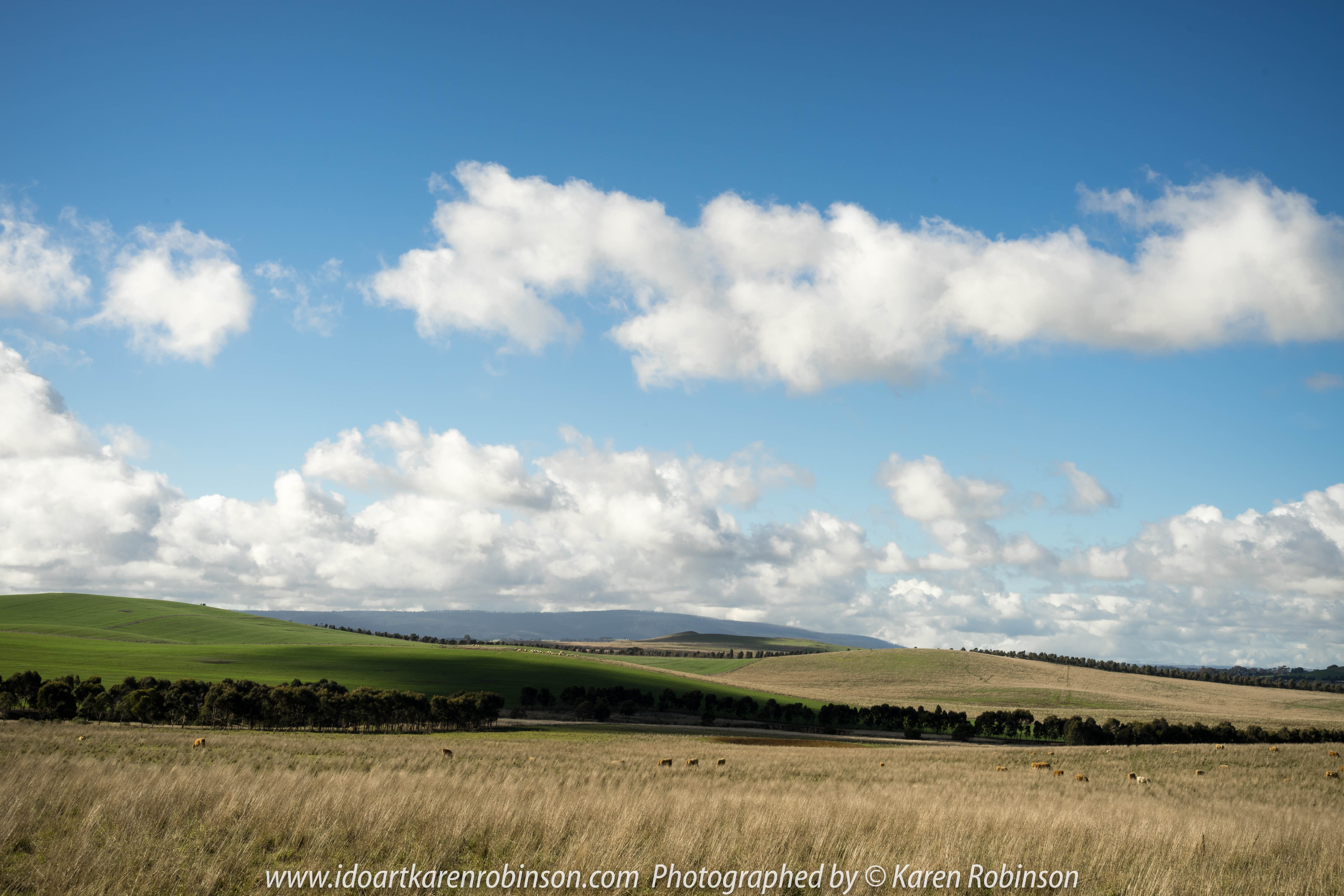 Wallan Region, Victoria – Australia "Rural Landscape"_Photographed by ©Karen Robinson www.idoartkarenrobinson.com July 2017. Comments: Day out with daughter photographng landscape and wildlife on a beautiful winter's day.