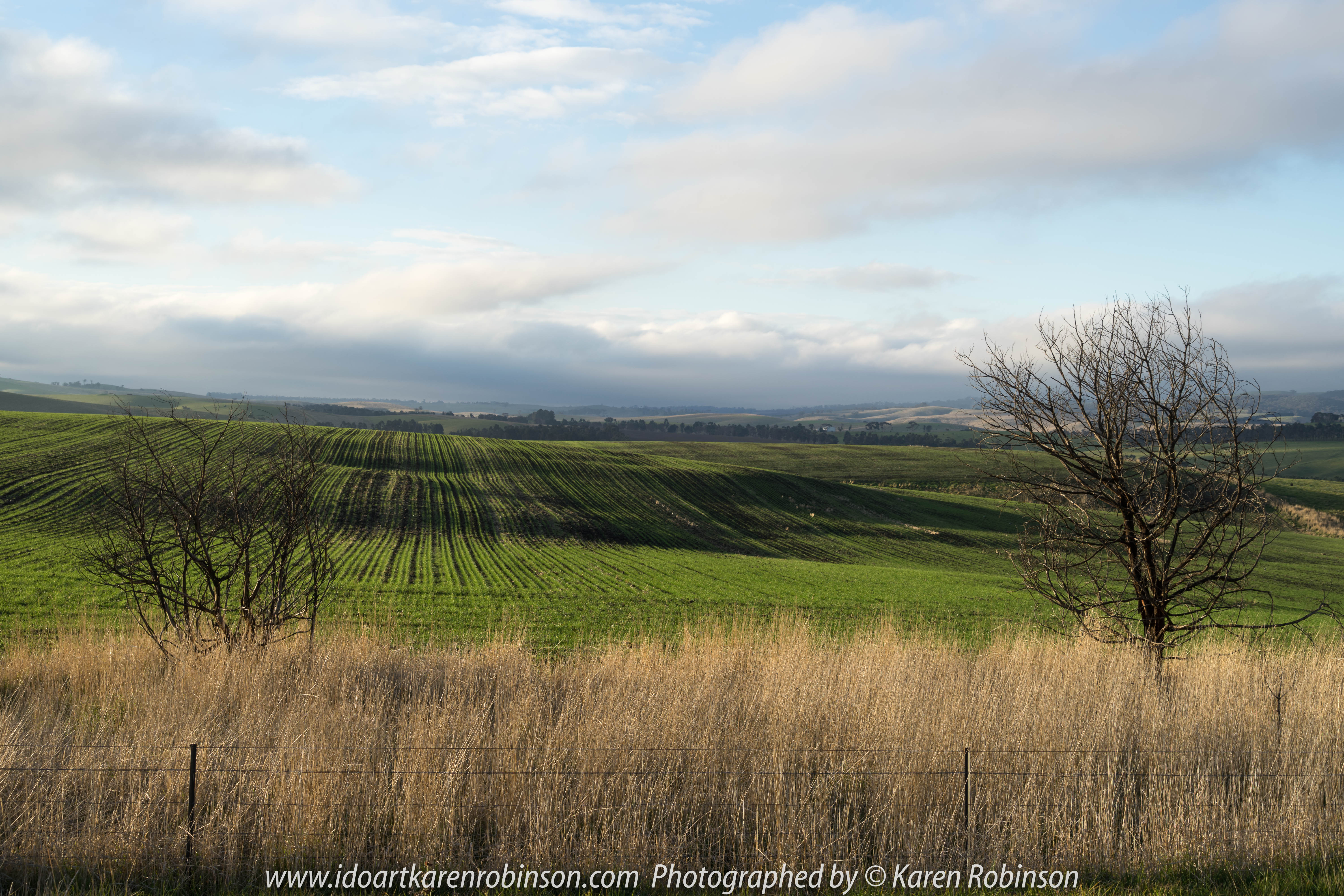 Wallan Region, Victoria – Australia "Rural Landscape"_Photographed by ©Karen Robinson www.idoartkarenrobinson.com July 2017. Comments: Day out with daughter photographing landscape and wildlife on a beautiful winter's day.