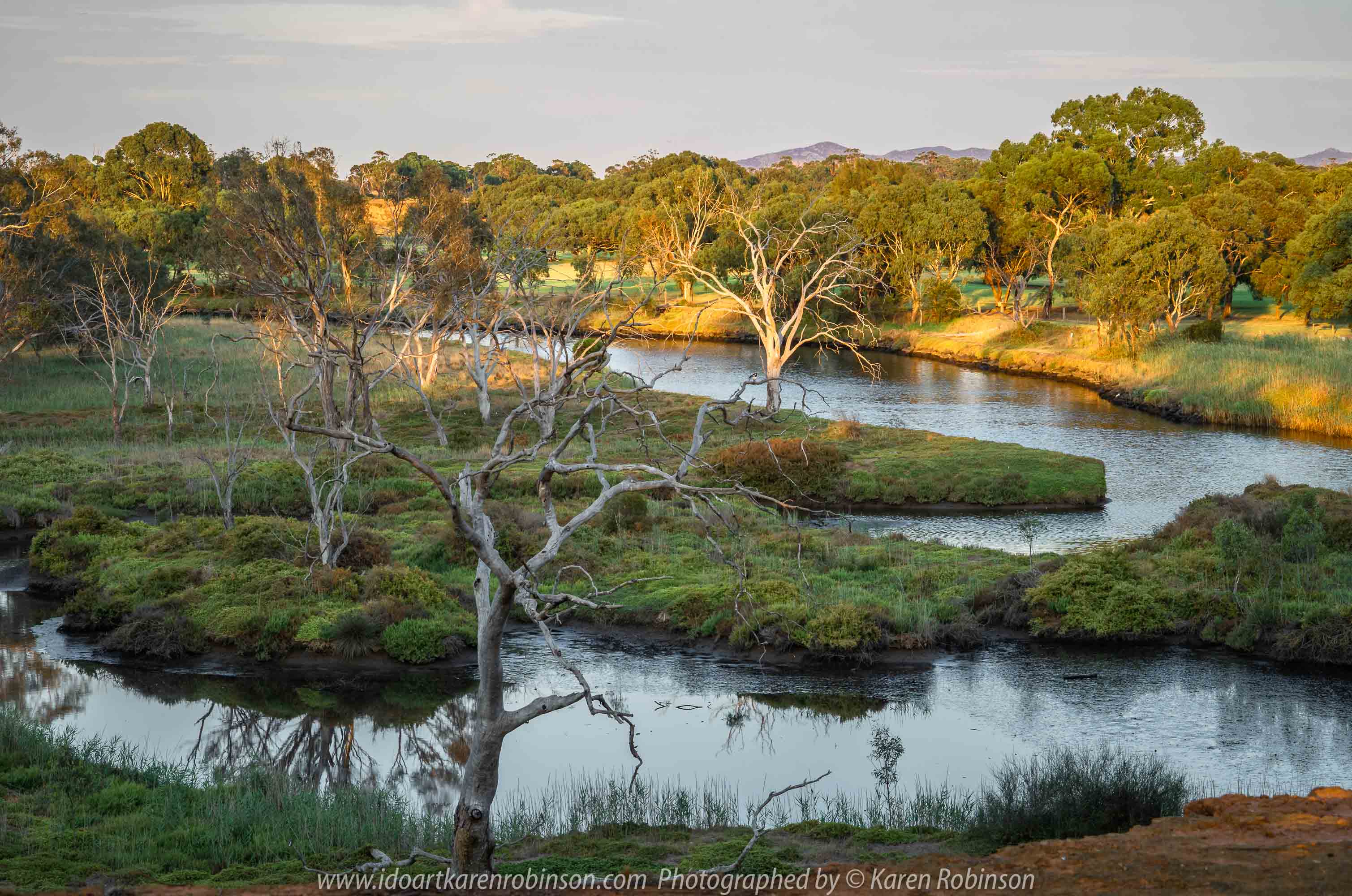 Werribee South, Victoria - Australia 'Werribee River K Road' Photograph by Karen Robinson February 2019 Comments - A morning out with hubby and me with granddaughter and daughter photographing rare sighting of an Eastern Osprey water bird.