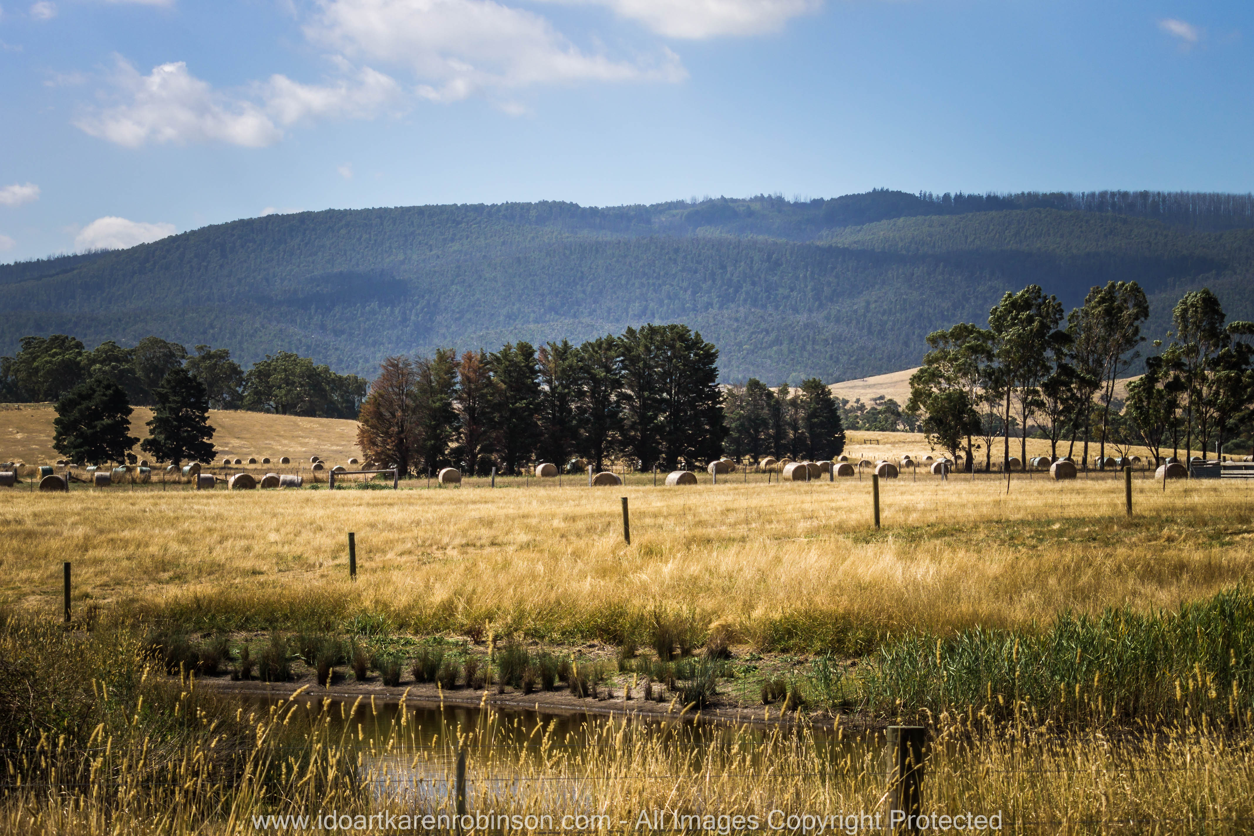 Whittlesea, Victoria - Australia 'Farmlands & Mount Disappointment State Forest Region' Photographed by © Karen Robinson www.idoartkarenrobinson.com March 2017