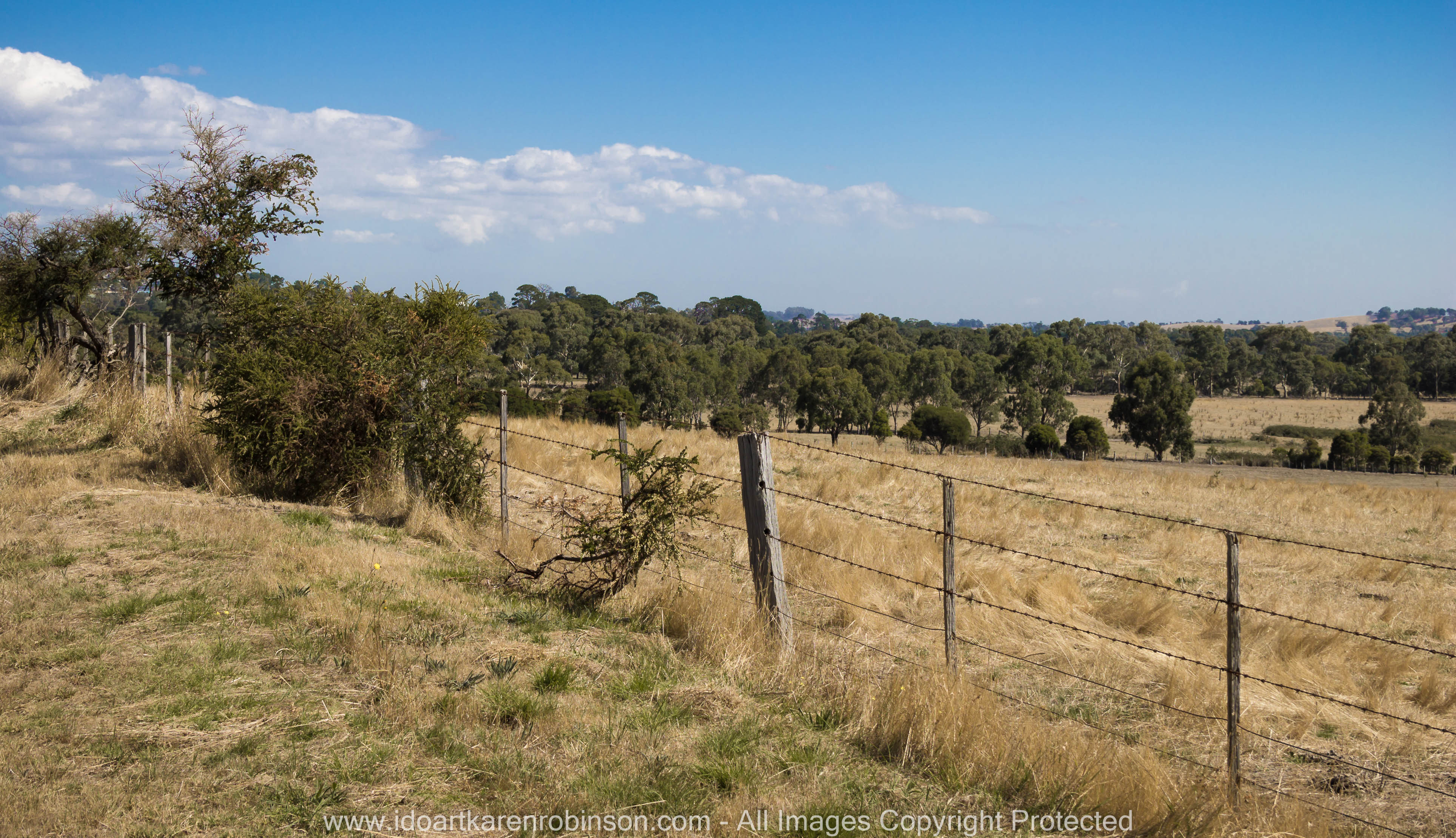 Whittlesea, Victoria - Australia 'Farmlands & Mount Disappointment State Forest Region' Photographed by © Karen Robinson www.idoartkarenrobinson.com March 2017