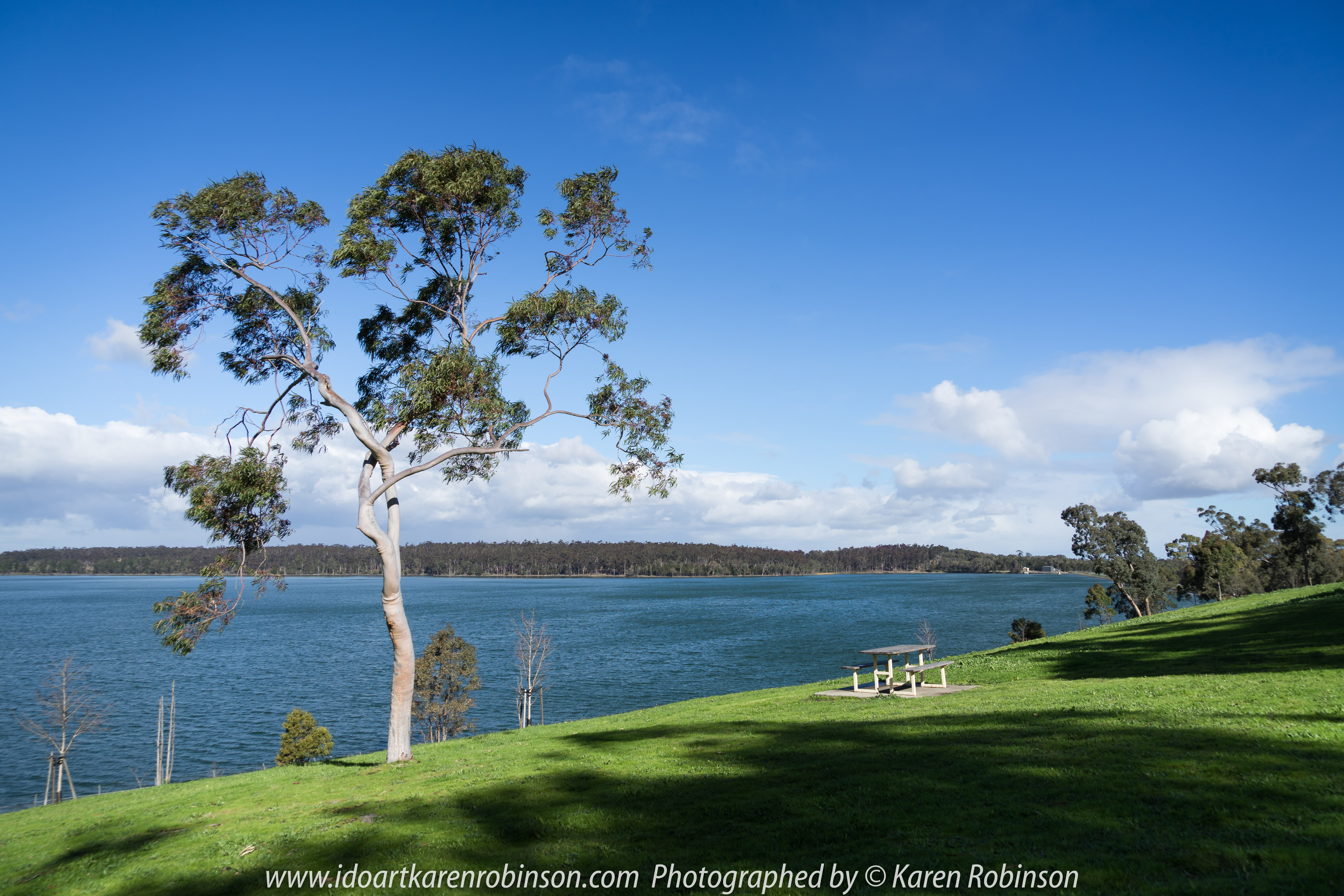Yan Yean Region, Victoria - Australia_Photographed by ©Karen Robinson www.idoartkarenrobinson.com 2017 Aug 27 Comments: Chilly Winter's day just off Ridge Road at Yan Yean Top Lookout - Yan Yean Reservoir Park.