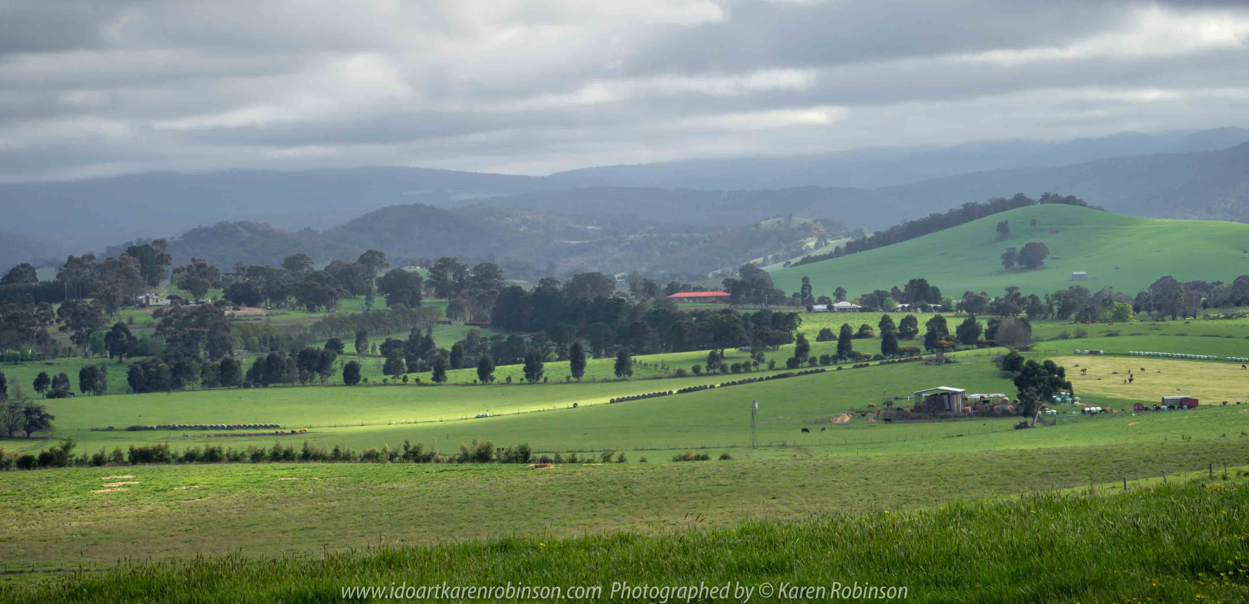 Comments: Yarra Glen Region, Victoria - Australia September 2018. The last day in September, a beautiful spring day, hubby and I decided to take a drive through the Yarra Glen Region. At this time of the year the valleys and hillsides are lush green. Vineyards feature widely throughout the region alongside of pastures where cattle happily grazed under the warm sunshine. Grey clouds gathered up along the mountains ranges as the day drifted towards its end. A beautiful spring day we so much enjoyed – a good to be alive day! NB: All images are protected by copyright laws Photographed by Karen Robinson www.idoartkarenrobinson.com