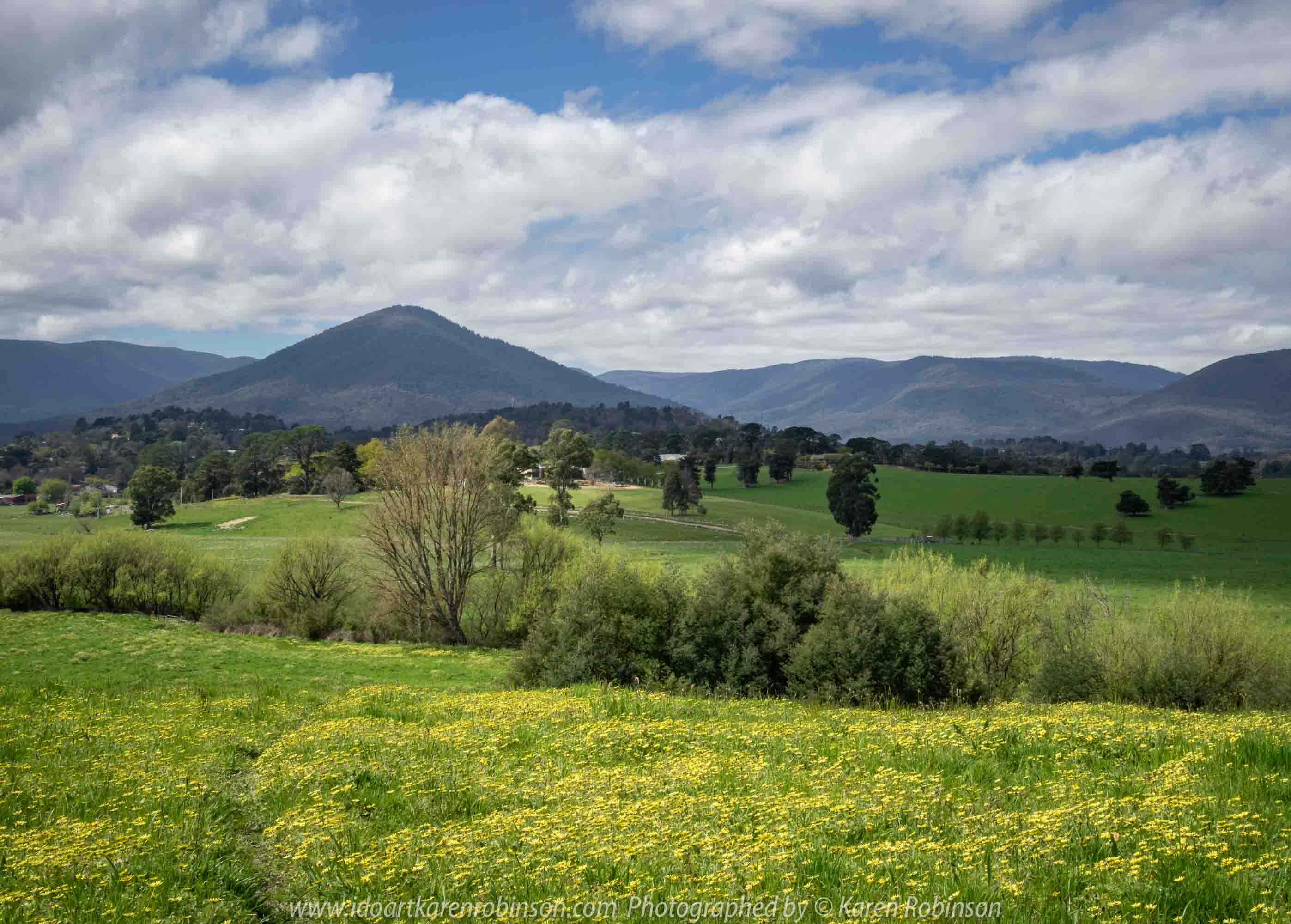 Comments: Yarra Glen Region, Victoria - Australia September 2018. The last day in September, a beautiful spring day, hubby and I decided to take a drive through the Yarra Glen Region. At this time of the year the valleys and hillsides are lush green. Vineyards feature widely throughout the region alongside of pastures where cattle happily grazed under the warm sunshine. Grey clouds gathered up along the mountains ranges as the day drifted towards its end. A beautiful spring day we so much enjoyed – a good to be alive day! NB: All images are protected by copyright laws Photographed by Karen Robinson www.idoartkarenrobinson.com